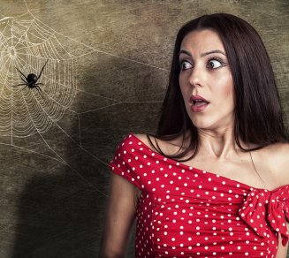 Arachnophobie
