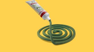 Les conseils moustiques